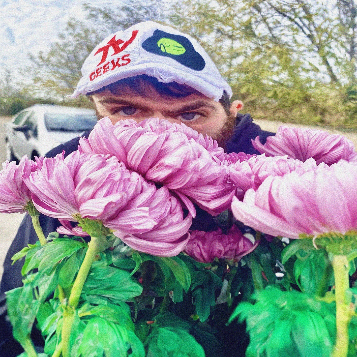 Pitta — flowers portrait